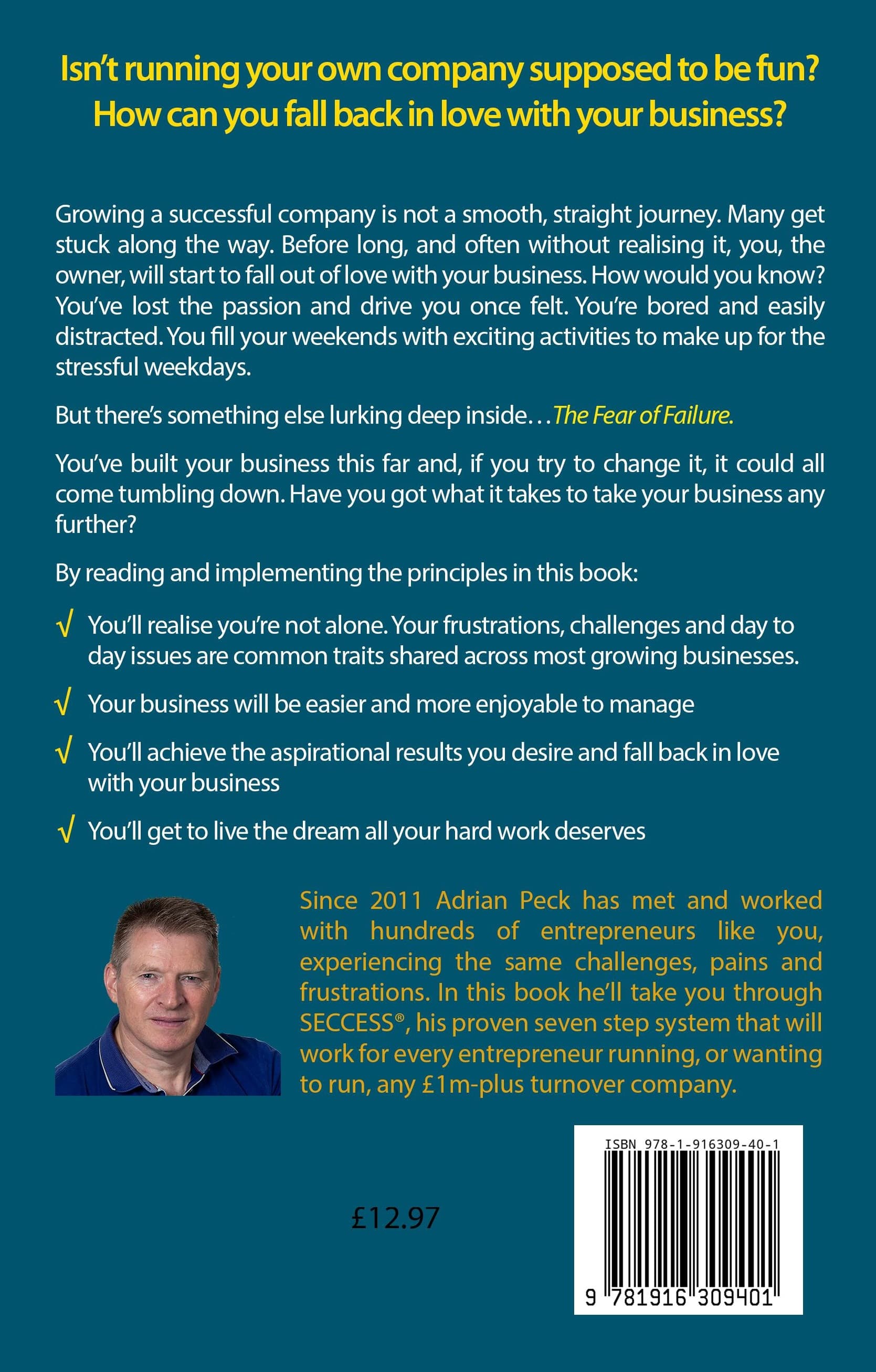 Back cover of How To Fall Back In Love With Your Business